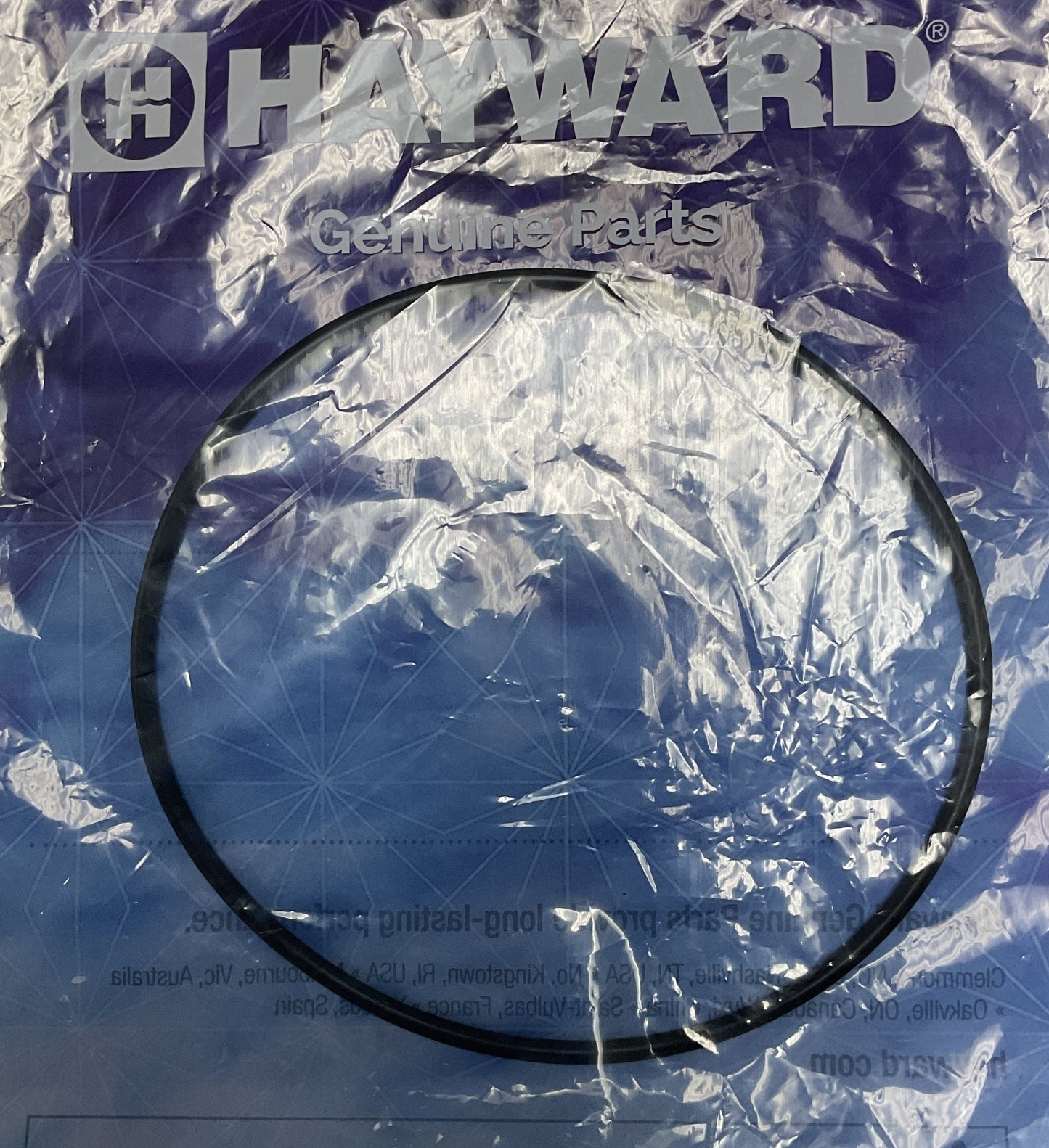 Hayward Housing O-Ring