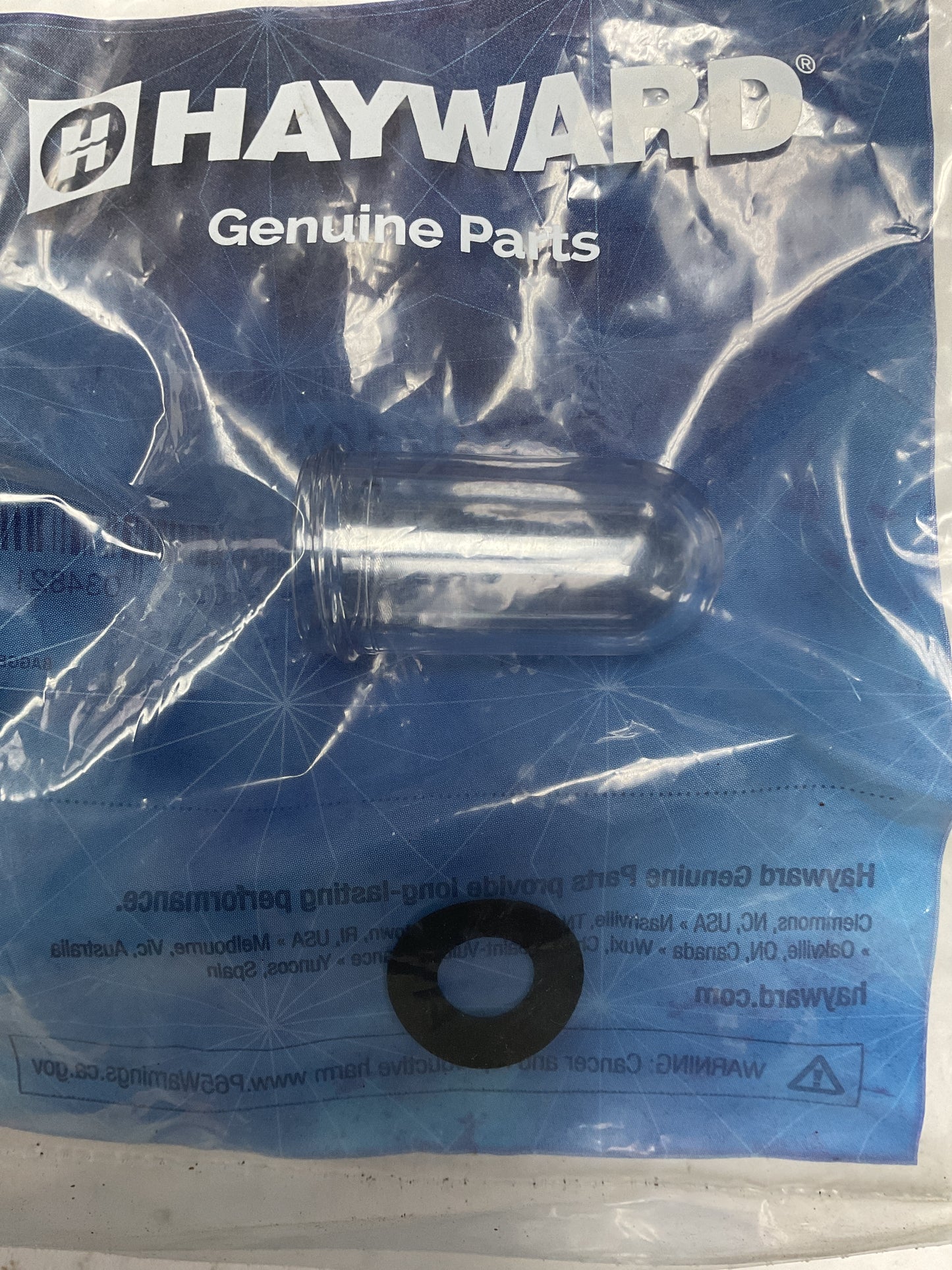 Hayward Sight Glass w/ O-Ring-Plastic