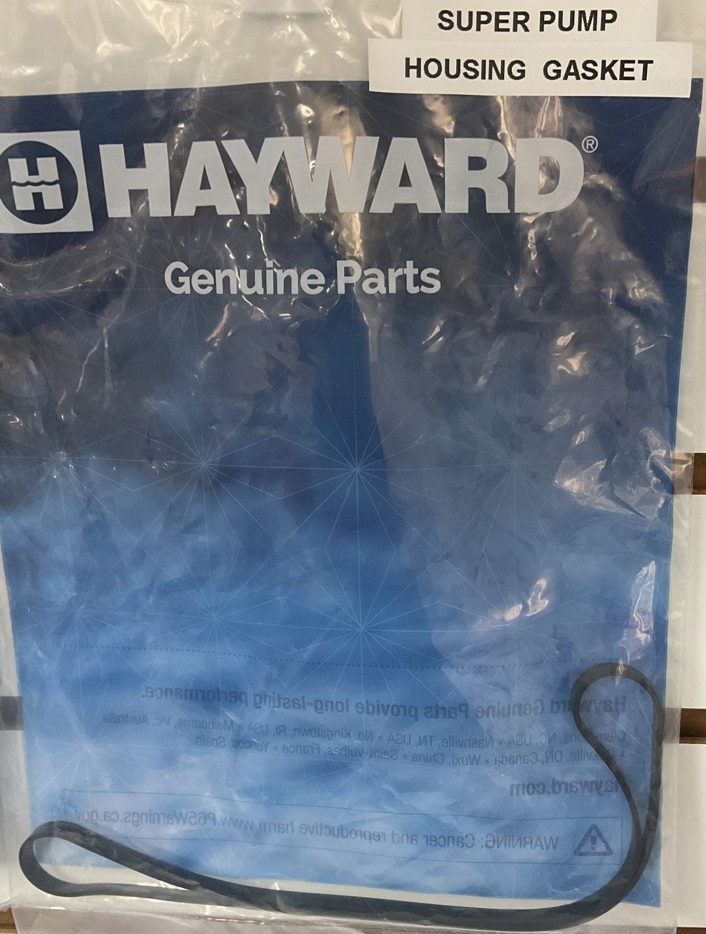 Hayward Housing Gasket
