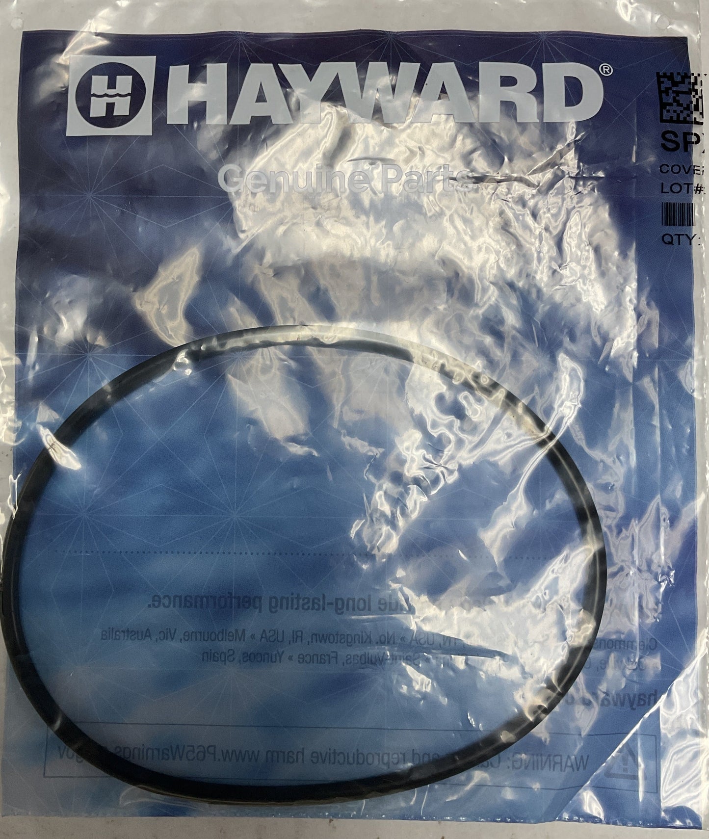 Hayward Cover O Ring