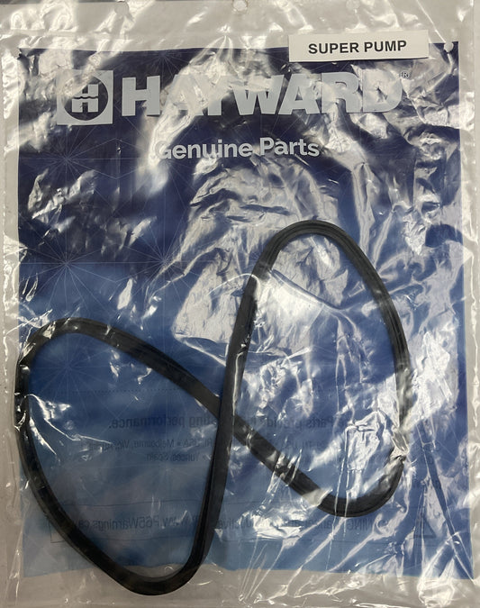 Hayward Strainer Cover Gasket-Super Pump